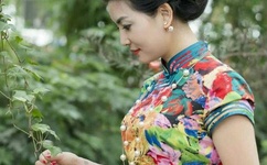 漂白在线免费观看